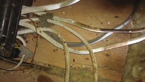Gnawed Electrical Wiring in a Roof Space